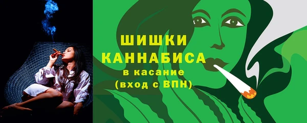 прущие грибы Кулебаки