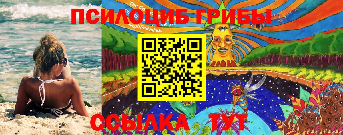 Галлюциногенные грибы мицелий  Белгород 