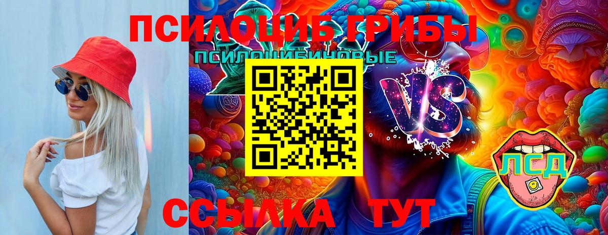 купить наркотик  Вход с VPN  Белгород  Галлюциногенные грибы Psilocybe 